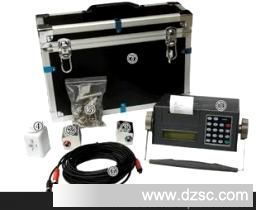 便攜式超聲波流量計(jì)TDS-100P在儀器儀表加工中的應(yīng)用